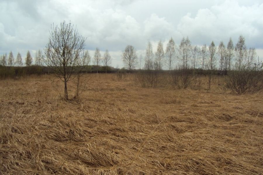 Продажа участка, Тверская область, с. Погорелое Городище