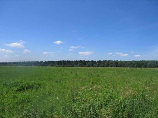 Продажа участка, Курганская область, г. Щучье