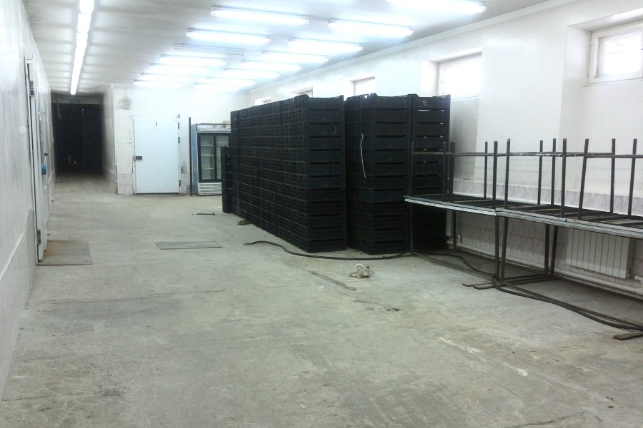 Продажа производственного здания, Липецкая обл., село Доброе