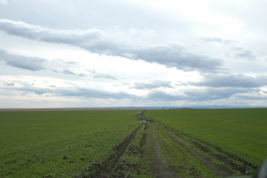 Продажа участка, Курганская область, г. Щучье