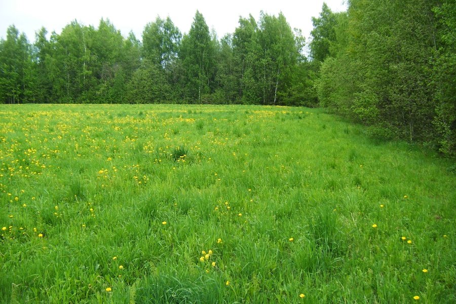 Продажа земельного участка, Костромская область