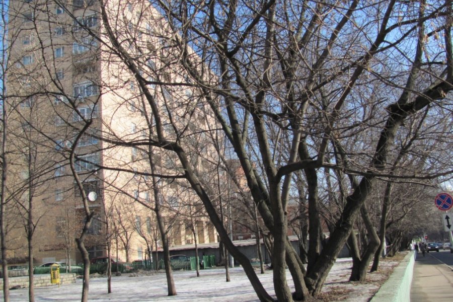 Продажа помещения свободного назначения, м. Менделеевская