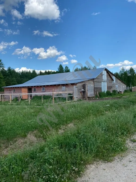 Продам большой и ровный участок в Шаховской